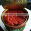 Export canned tomato paste for 198gm with brix 28-30%
