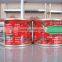 Hot Sale! 70g~3000g tomato paste in can