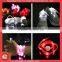 bulk shoelaces charm light