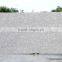 White Galaxy Granite