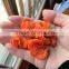 2016 Chinese Factories (Dehydrated Vegetable)