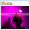 high power 7w ce rohs 2year warranty e14 led grow light