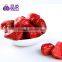 Red IQF Frozen Strawberry Price Supplier