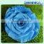 High quality pretty color preserved rose flower in new products 2016