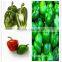 Early Maturity Good Resistant Big Pepper Seeds for Export