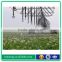 Center Pivot Sprinkler Irrigation System for agriculture