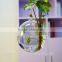Transparent flower glass vase anique hanging glass vase