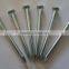 Galvanized Concrete Nails with Factory Price