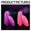 2020 supplier wholesale of OEM sex vibrator with strong vibration sex toys for woman