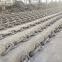 Anchor Chain Installation