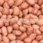 Vietnam core of peanut