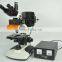 2002H Optical Trinocular Fluorescence Microscope