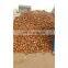 Good price Coconut Shell from Vietnam