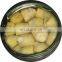 High Quality Canned Artichoke Wholesale