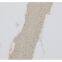 Code：7240，Calacatta artificial stone quartz slab kitchen countertops