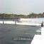Complex Geomembrane