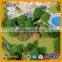 1:200 beautiful Horse Breeding Village model