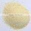 dried garlic granlues16-26mesh