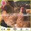 Supply galvanized or PVC coated hexagonal wire mesh/hexagonal wire netting /chicken mesh with best