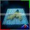SMD 5050 led strip bulk, full spectrum led light ws2812b addressable led pixels strip