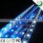 2015 best programmable Coral Reef led aquarium lighting for marine use