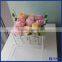 Custom printed clear flower delivery box , elegant acrylic flower packaging box