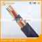 Plastic Insulated Control Cable with Rated Voltage up to 450 / 750V