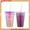 16 oz Customized Drinkwares Double Wall Plastic Tumbler with straw