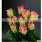Long stem glass flowers The Tea Roses on sale