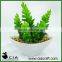 Mini Artificial White Pottery Potted Succulent for Office Table Decor