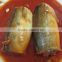 Canned jack Mackerel in Tomato Sauce tin paking with HACCP IFS,BRC ISO