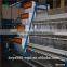 Commerical layer poultry farming equipment for sale