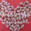 long type peanut kernel