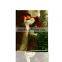 Diy Crafts Oil Painting By Numbers Flower DIY17