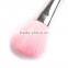 Wholesale 5pcs professional new arrival portable pink cosmetic brush set girl makeup