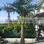 Acrylic Christmas Led Light Tree Outdoor Coconut Palm Tree LED Lights