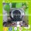 Plastic Granular Black Masterbatch