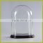 Decorative oval glass dome with MDF black base