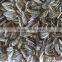 Supply Roasted Salted Sunflower Seeds With Different Type