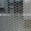 hexagonal wire netting/chicken fence ( electro galvanized/ hot dipped galvanized )