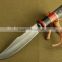 OEM Outdoor hunting knife / combat knife UD50081