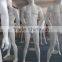 strong male muscle mannequin