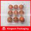 PVC 9 Compartment Clear Plastic Packaging Box for Tomato Passion Fruit