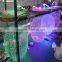 Large-scale place decoration color changeable chandelier pendant light