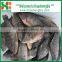 frozen whole round tilapia 200/300