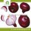 China origin red onions price 2015