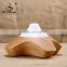 GX Diffuser Light Wood electric aroma diffuser with sound diffuser