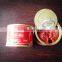 Double Concentrated Tomato Paste for Fresh Tomato Ketchup Recipes Cooking
