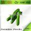 Factory Direct Price Cucumber Extract