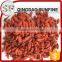 2016 USDA organic goji berry